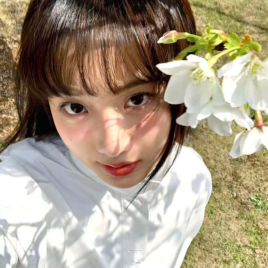 僧侣和枪