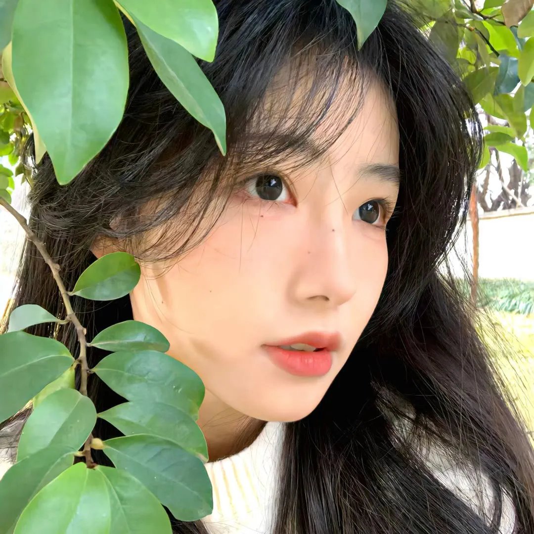 碧血烟花